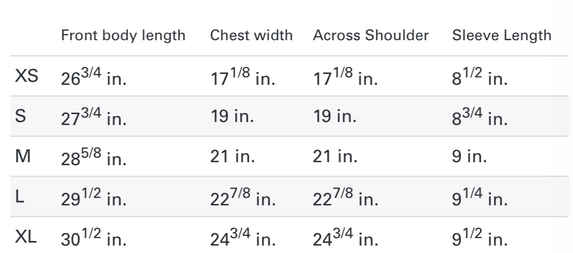 DISTRESSED HIDDEN HILLS HEAVYWEIGHT TEE - VINTAGE BLACK