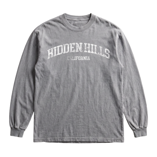VINTAGE HEAVYWEIGHT HIDDEN HILLS ESSENTIALS TOP - HEATHER GREY DISTRESSED