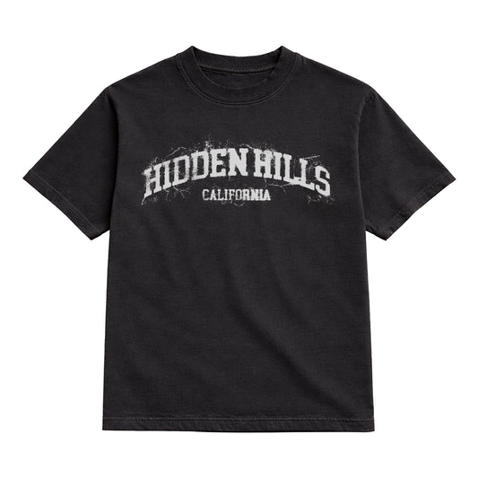 DISTRESSED HIDDEN HILLS HEAVYWEIGHT TEE - BLACK