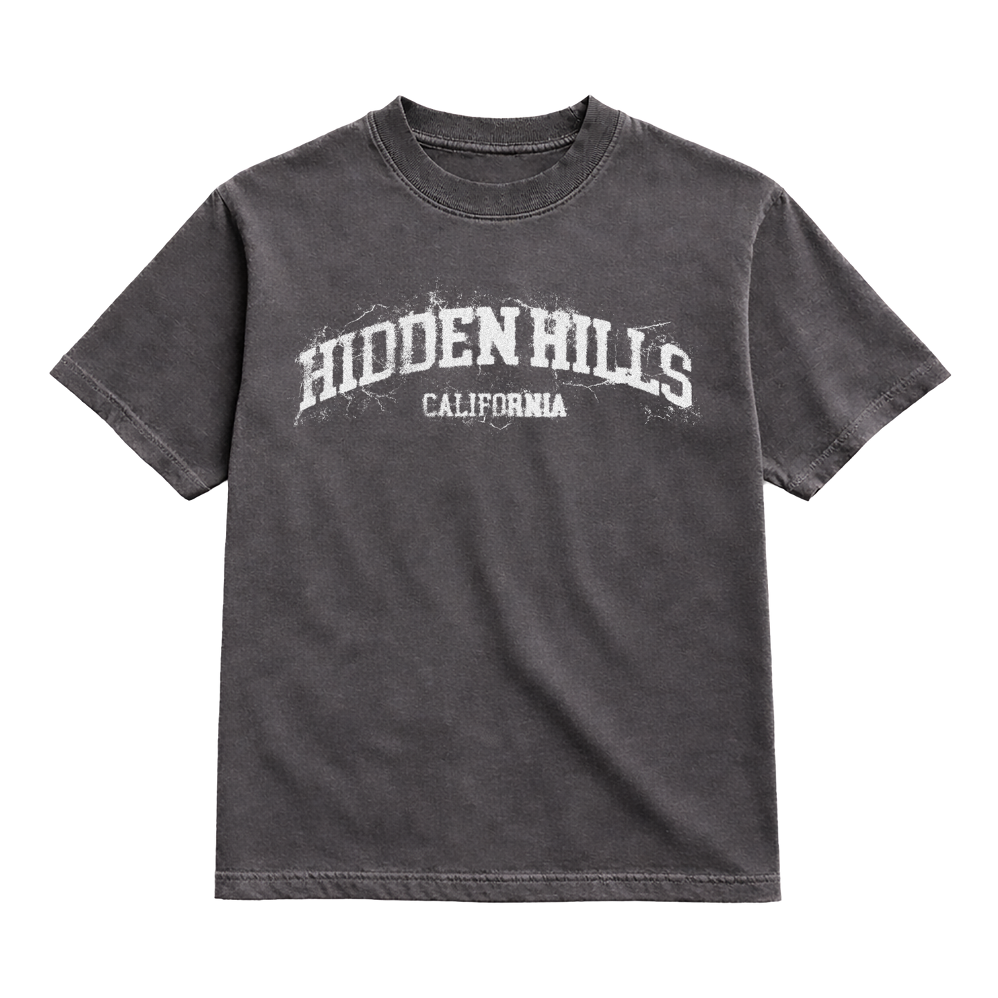 DISTRESSED HIDDEN HILLS HEAVYWEIGHT TEE - VINTAGE BLACK